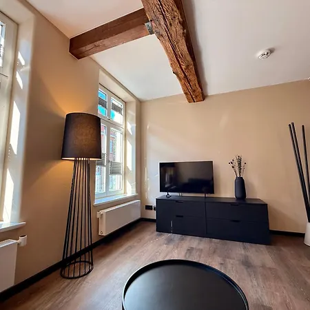 Apartmenthaus Altstadt 2 布克斯泰胡德